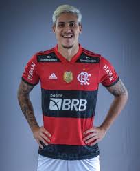 However, an injury to gabigol gave pedro a window of opportunity which he seized. Pedro Guilherme Abreu Dos Santos Flamengo