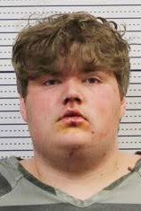 Man faces DWI, criminal mischief charges in crash