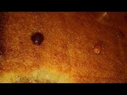 قلب اللوز الوصفة الأصلية بطريقة مبسطة مع اسرار نجاحه رمضان 2018 Youtube Gateau Traditionnel Gateau Cuisine