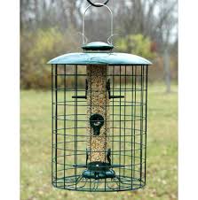Bird feeders are a great way to bring birds to your yard or garden. Woodlink Caged 6 Port Seed Tube Feeder Quality Squirrel Proof Bird Feeders Tube Bird Feeders At Songbird Garden