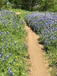 Expedited delivery · stunning bouquets · send your warm wishes Cedar Hill Offers Plenty Of Things To Do In Dallas This Summer