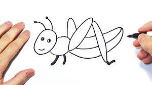 This clipart image is transparent backgroud and png format. Como Dibujar Un Saltamontes Chapulin O Grillo Youtube