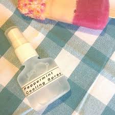 Homemade Refreshing Peppermint Cooling Spray The Diary Of A Frugal Family