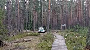 Bor na czerwonem is located in nowy targ. Nowy Targ Tajemnicza Smierc 20 Letniego Mieszkanca Stolicy Podhala Gazeta Krakowska