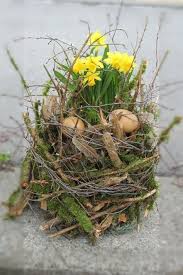 Osterdeko Mit Moosasten Mit Narzissenpflanze Osterdeko Garten Fruhling Deko Pflanzen