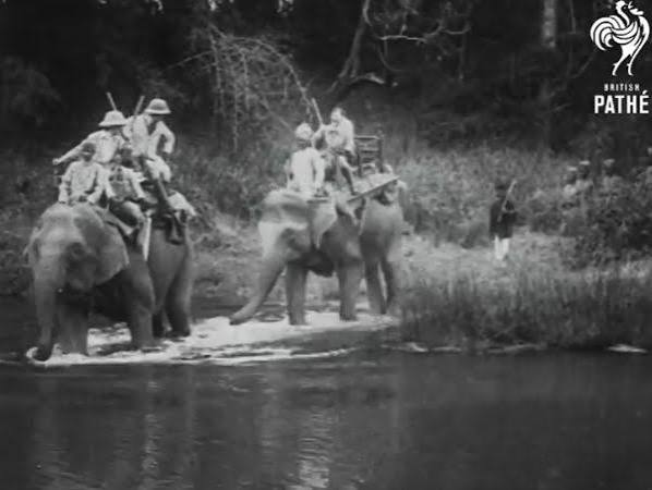 Tiger Hunting | Hunts Of The Past | Montefeltro