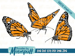 Free Free 206 Side Flying Butterfly Svg SVG PNG EPS DXF File