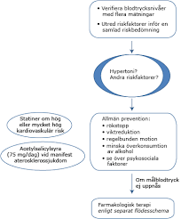 Läkemedelsverket vill kommentera artikeln biverkningar följs inte upp (24/3): Rekommendationer For Behandling Av Hypertoni Janusinfo Se