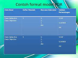 Flowsheet yang berupa kesimpulan penemuan yang penting dan menjabarkan indiktor pengkajian dan termasuk instruksi dokter/perawat, grafik, catatan pendidikan dan contoh model dokumentasi cbe. Model Dokumentasi Sor Por Flowsheet Ns Igyp S