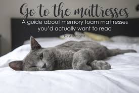 Check spelling or type a new query. Go To The Mattresses A Guide About Memory Foam Mattresses You D Actually Want To Read Akamatra