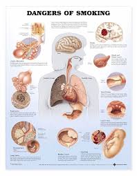 Pin On Stop Smoking