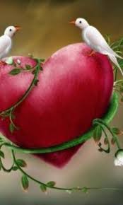 صور طيور 2011 خلفيات لسطح المكتب 2012 مناظر طيور حلوه جميلة روعه ، صور طيور 2011 خلفيات لسطح المكتب 2012 مناظر طيور حلوه جميلة روعه. Ø·ÙŠÙˆØ± Ø§Ù„Ø­Ø¨ Ø§Ù„Ø®Ù„ÙÙŠØ© ØªØ­Ù…ÙŠÙ„ Ø¥Ù„Ù‰ Ù‡Ø§ØªÙÙƒ Ø§Ù„Ù†Ù‚Ø§Ù„ Ù…Ù† Phoneky