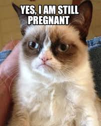 Meme Creator Funny Yes I Am Still Pregnant Meme Generator At Memecreator Org
