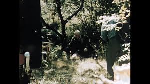 Image result for Wild Strawberry 1991 Tracer