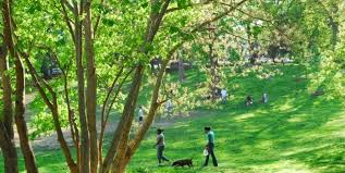 Topsearch.co updates its results daily to help you find what you are looking for. Clark Park University City District