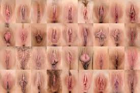 Vulva Watching - raw und unzensiert! - FemStories