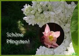 Whatsapp messenger is a free messaging app available for android and other smartphones. Pfingsten Pfingstgrusse Gb Pics Gb Bilder 14271 Whatsapp Bilder