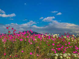 Random Scenery Of Shiga Prefecture In Japan Scenery Japan Shiga