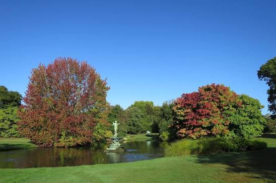 Arboretum Wespelaar added photos to the album: September 2025