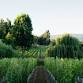 Cannon Estate Winery  — Patrick Gavigan event image