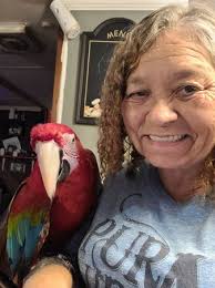 20 year old green wing macaw