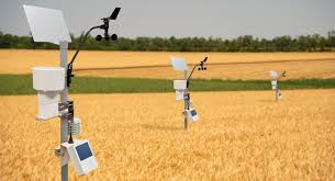 AI-powered personal weather forecasts promise to boost crop yields