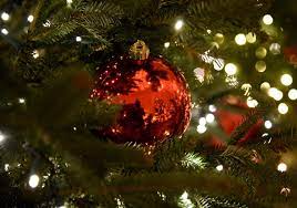 ◄◄ ◄ previous page page 1785 of 1991 next page ► ►►. The Pros And Cons Of Real Vs Artificial Christmas Trees News Gainesville Sun Gainesville Fl