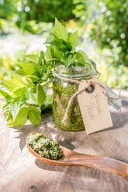 Rezept Fur Fruhlingshaftes Wildkrauter Giersch Pesto Aus Dem Garten Zu Spaghetti Oder Spargel Giersch Rezepte Giersch Pesto Giersch