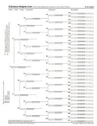 Pedigree Chart Lds 5 Gen Ref Lines Legal 100 Pack