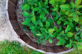 Fri sep 05, 2008 3:43 am. The Safest Products To Protect Your Raised Garden Bed