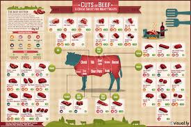Different Cuts Of Meat 10 Infographic To Select And Cook Them