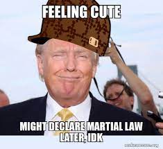 Feeling Cute Might Declare Martial Law Later Idk Scumbag Donald Trump Make A Meme