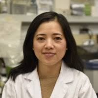 400+ "Tram" profiles