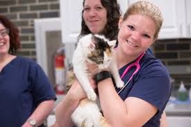 We did not find results for: Vet Tech Degree Kent State University