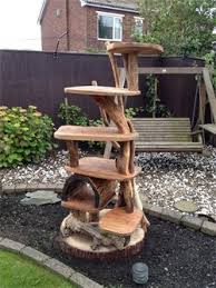 Crrailiso Cats Natural Wood Cat Trees Cat Tree Cat Furniture Wood Cat