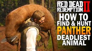 How To Find And Hunt Panthers Most Dangerous Animal In Red Dead Redemption 2 Rdr2 Red Dead Redemption Dangerous Animals Red Dead Redemption Ii