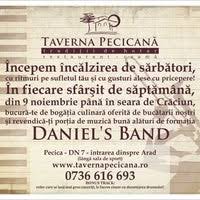 Descarca saptamana, cautare saptamana, manele cu saptamana, manele noi saptamana. Fotos Bei Taverna Pecicana Pecica Arad