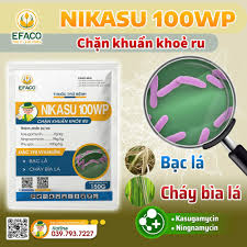 Nikasu 100WP