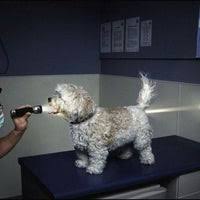 Maybe you would like to learn more about one of these? Animal Clinic Of Bay Ridge Dyker Heights Brooklyn Ny