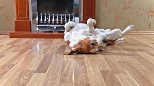 Michigan hardwood floors services specializes in dustless sanding in farmington hills, farmington mi, and the nearby areas. Dustless Hardwood Floor Refinishing Patrick Daigle Hardwood Flooring
