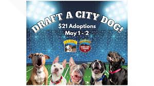 Start at $125* puppies (under 5 months): Want To Watch Football With A Fury Friend Wkyc Com