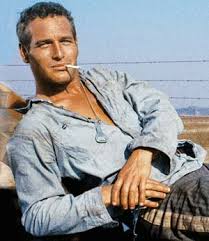 Resultado de imagem para Paul Newman