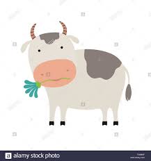 Cartoon Kuh Mit Einer Blume Illustration Cute Stock Vektorgrafik Alamy