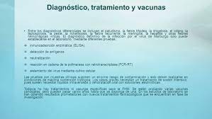 El virus de marburgo se transmite por contacto directo con sangre, líquidos orgánicos y tejidos de las personas infectadas. Virus De Marburgo Marburgo 1 Indice 2 Que Es Causas Y Consecuencias Brotes Transmision Signos Y Sintomas Datos Y Cifras Diagnostico Tratamiento Ppt Descargar