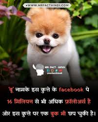 Fact Hindi Follow For More Informative And Interesting Facts Interesting Facts In Hindi Fun Facts General Knowledge Facts