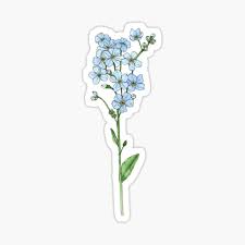 A good forget me not flower tattoo designs are very sensual and look aesthetically pleasing, each of the flower tattoos has special meaning and is popular among woman. Forget Me Not Stickers Redbubble