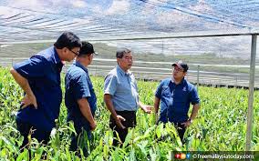 Anchor salted mini dish butter 10's. Looking Up To Agro Entrepreneur Yap To Boost Sabah S Agriculture Free Malaysia Today Fmt