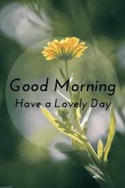 Happy monday blessed sunday yellow flowers morning wish morning blessings monday greetings morning pictures gm images good pink flowers flowers pink flowers wallpaper pink chests rose wallpaper pink roses amazing flowers watering can have a great monday. Best Good Morning Hd Images Wishes Pictures And Greetings