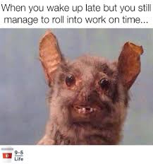 Pin By Monster Queen On That Made Me Laugh Work Memes Funny Animal Memes