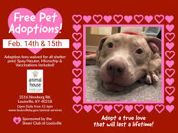 Our dogs are in foster homes throughout kentucky and indiana. District 25 Enews February 20 2020